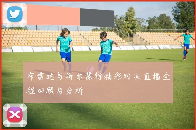 布雷达与海尔蒙特精彩对决直播全程回顾与分析