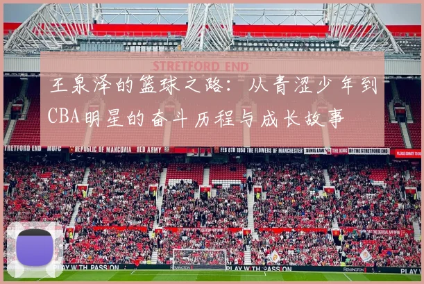 王泉泽的篮球之路：从青涩少年到CBA明星的奋斗历程与成长故事