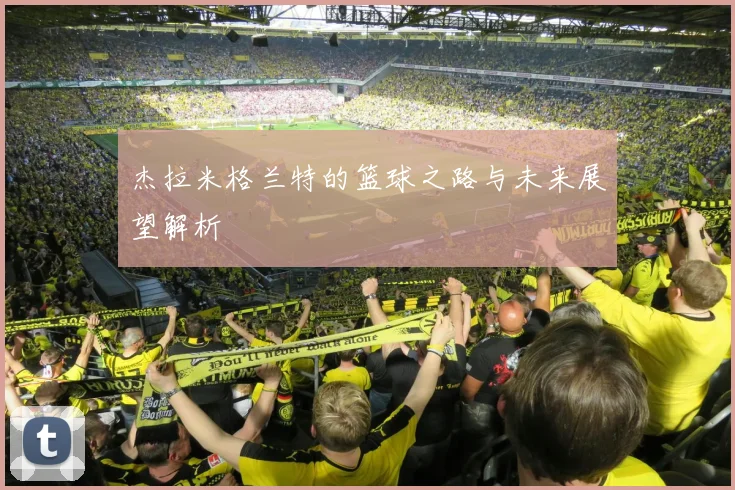 杰拉米格兰特的篮球之路与未来展望解析