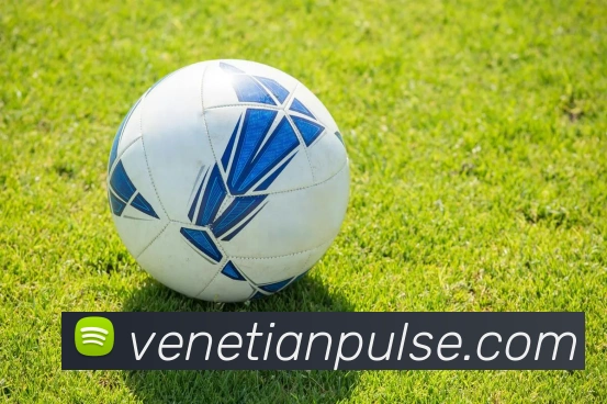 威尼斯人平台生态图