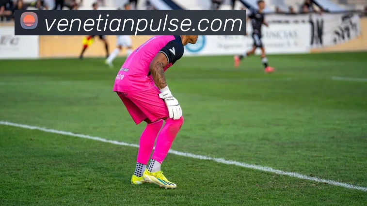 威尼斯人全站App